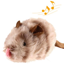 Lade das Bild in den Galerie-Viewer, Aktiver Vogel Maus und Igel für Katzen