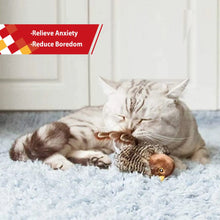 Lade das Bild in den Galerie-Viewer, Aktiver Vogel Maus und Igel für Katzen