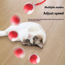 Lade das Bild in den Galerie-Viewer, Automatischer Katzenball
