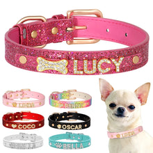 Lade das Bild in den Galerie-Viewer, Personalisierter Halsband für kleine Hunde oder Katzen
