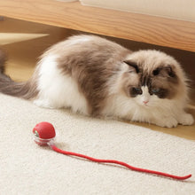 Lade das Bild in den Galerie-Viewer, Automatischer Katzenball

