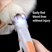 Lade das Bild in den Galerie-Viewer, Professional Nägel Klipper mit LED für Katze oder Hund
