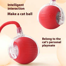 Lade das Bild in den Galerie-Viewer, Automatischer Katzenball
