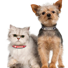 Lade das Bild in den Galerie-Viewer, Personalisierter Halsband für kleine Hunde oder Katzen
